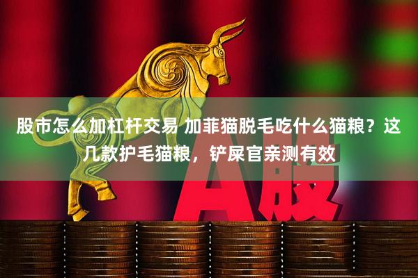 股市怎么加杠杆交易 加菲猫脱毛吃什么猫粮?这几款护毛猫粮,铲屎官亲测有效