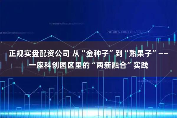 正规实盘配资公司 从“金种子”到“熟果子”——一座科创园区里的“两新融合”实践
