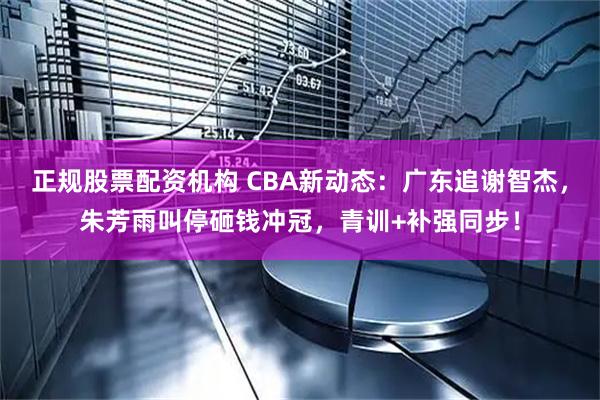 正规股票配资机构 CBA新动态：广东追谢智杰，朱芳雨叫停砸钱冲冠，青训+补强同步！